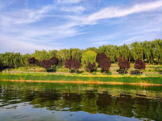 Foto la vista panoramica del lago contro il cielo