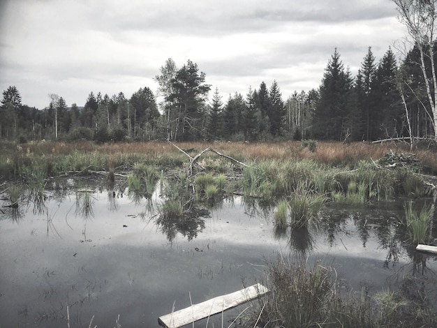 Photo scenic view of lake against sky