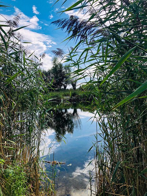 Scenic view of lake against sky