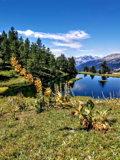 Foto la vista panoramica del lago contro il cielo