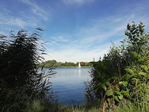 Foto la vista panoramica del lago contro il cielo