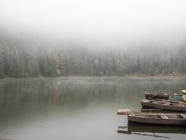 Photo scenic view of lake against sky