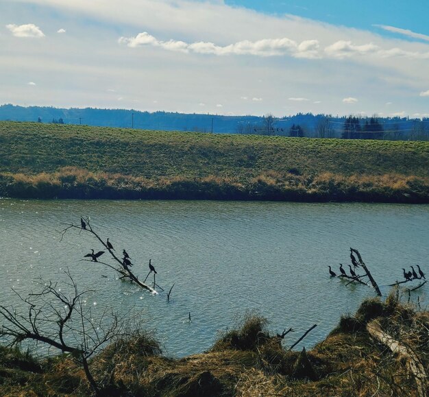 Scenic view of lake against sky