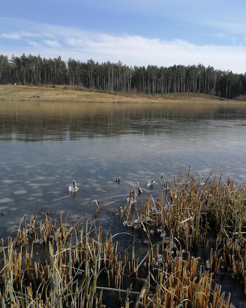 Scenic view of lake against sky