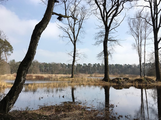 空に照らされた湖の景色