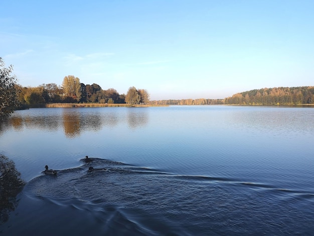 Foto la vista panoramica del lago contro il cielo