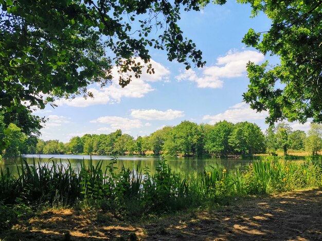 Scenic view of lake against sky