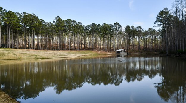 Photo scenic view of lake against sky