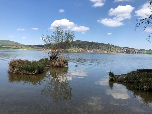 Scenic view of lake against sky