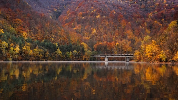 秋の森の木々に照らされた湖の景色