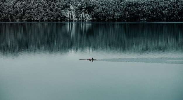 Foto la vista panoramica del lago contro gli alberi