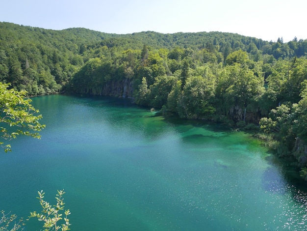 Foto vista panoramica del lago tra gli alberi della foresta contro il cielo