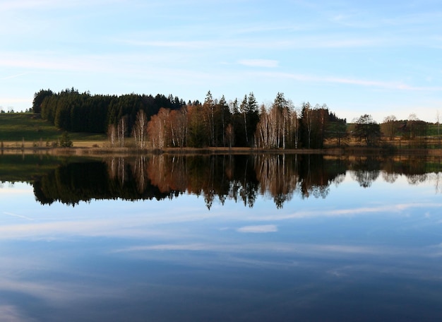 Scenic view of lake by forest during autumn