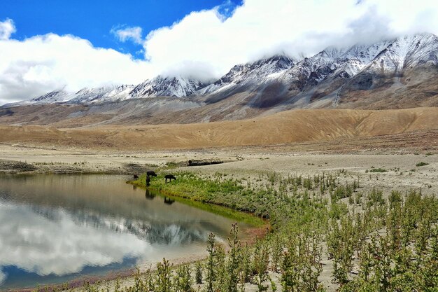 Scenic view of lake by mountains against sky