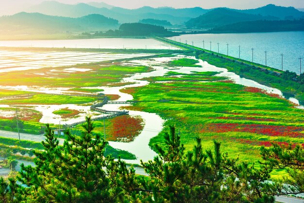 山から見える湖の景色