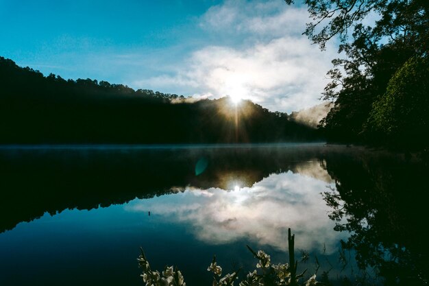 Photo scenic view of lake by silhouette trees against sky