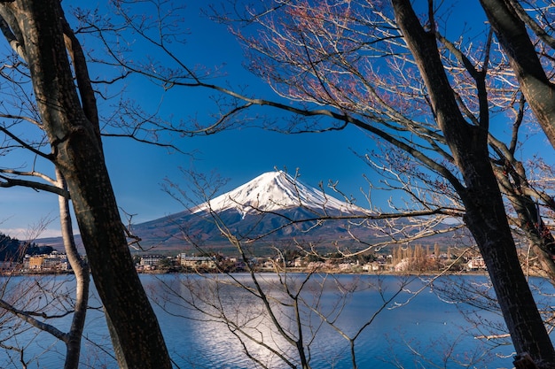 Scenic view of lake by snowcapped mountains against sky