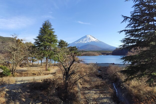 Scenic view of lake by trees against blue sky