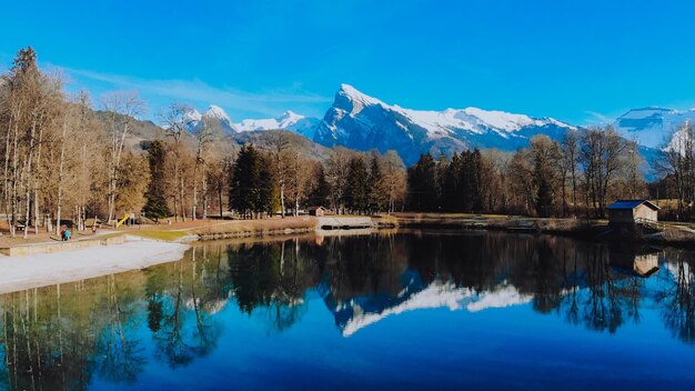 Scenic view of lake by trees against blue sky