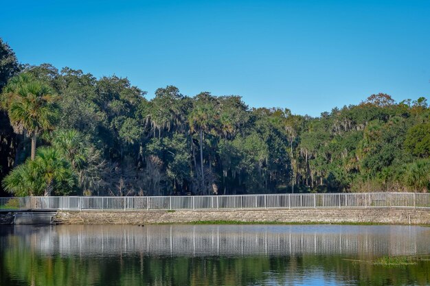 Scenic view of lake by trees against clear blue sky