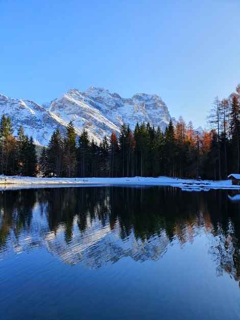 Foto vista panoramica del lago dagli alberi contro un cielo limpido