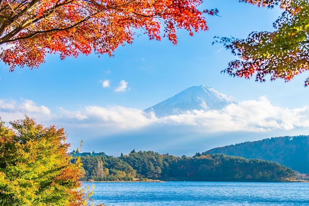 秋の空に照らされた木々による湖の景色