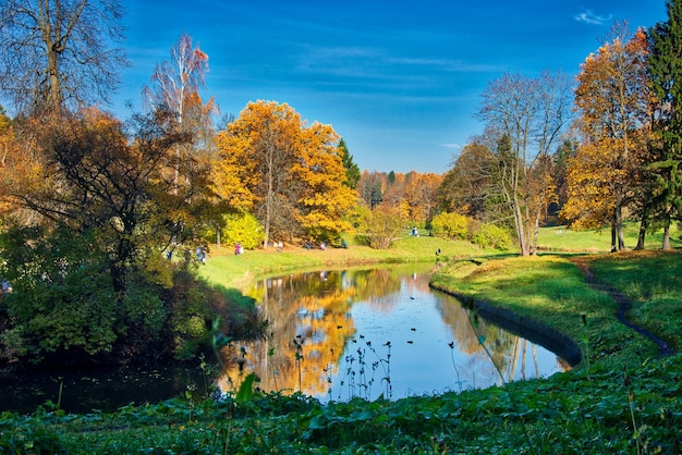 Scenic view of lake by trees against sky during autumn