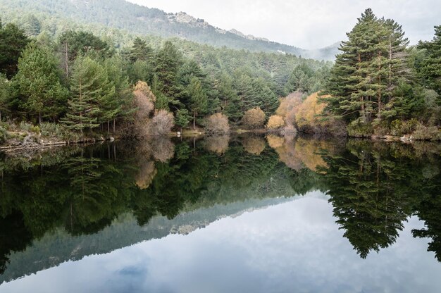 Scenic view of lake by trees against sky during foggy day