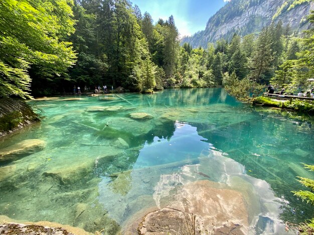 Scenic view of lake by trees against sky