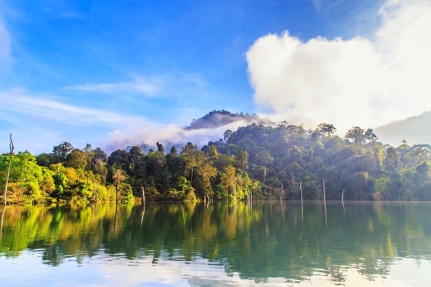 Scenic view of lake by trees against sky