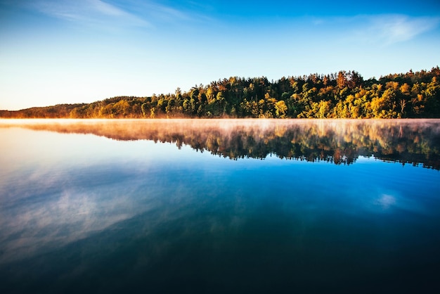 scenic view of lake by trees against sky