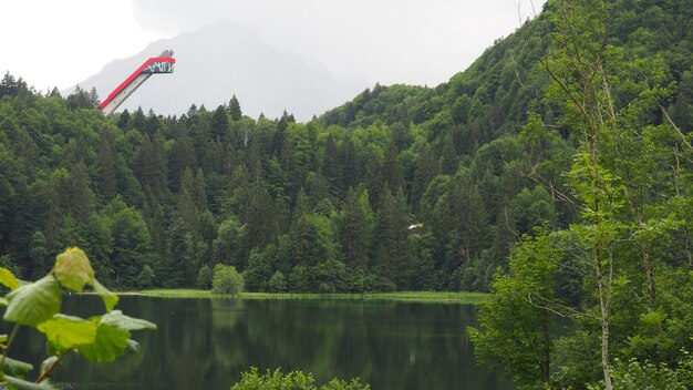 Scenic view of lake by trees against sky