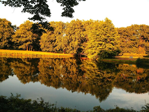 Scenic view of lake by trees against sky