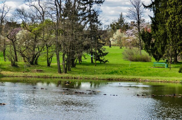 Scenic view of lake by trees against sky