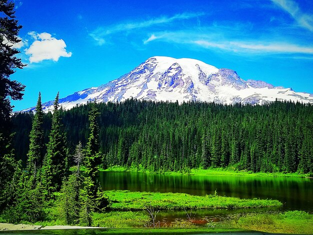 Scenic view of lake by trees against sky