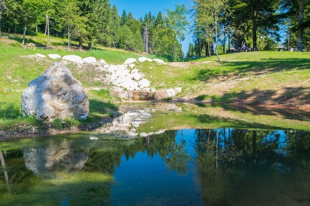 Foto vista panoramica del lago dagli alberi contro il cielo