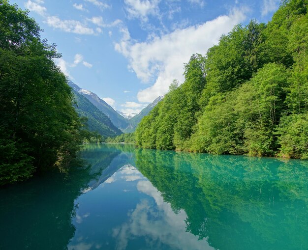 Photo scenic view of lake by trees against sky