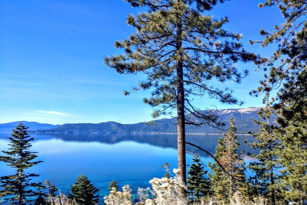 Photo scenic view of lake by trees against sky