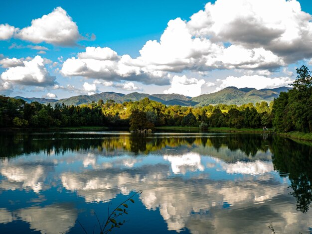 Scenic view of lake by trees against sky