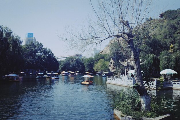 Scenic view of lake by trees against sky