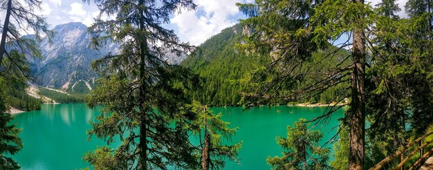 Scenic view of lake by trees against sky