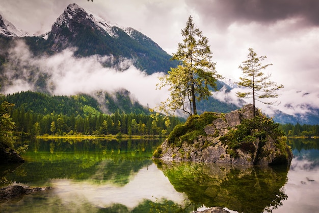 scenic view of lake by trees against sky