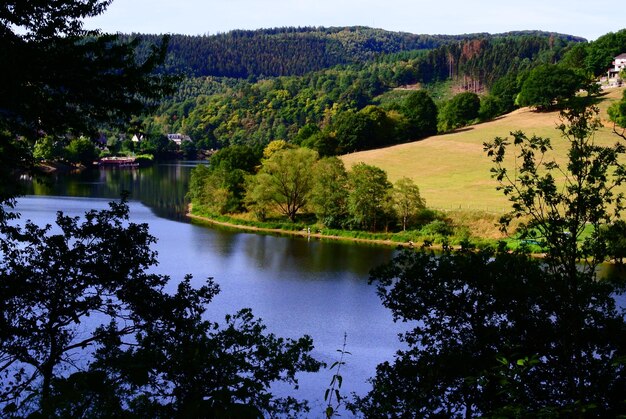 Photo scenic view of lake by trees against sky