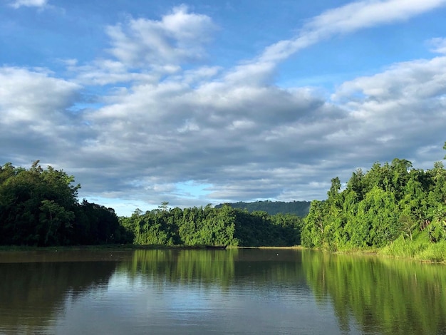 Photo scenic view of lake by trees against sky