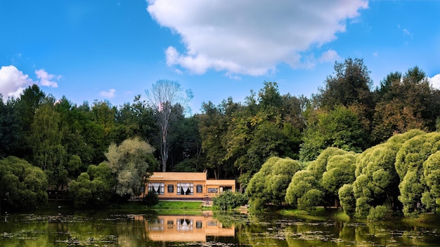scenic view of lake by trees against sky