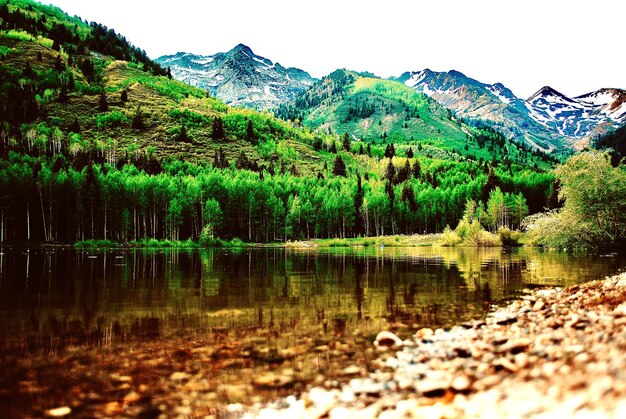 Scenic view of lake by trees against sky