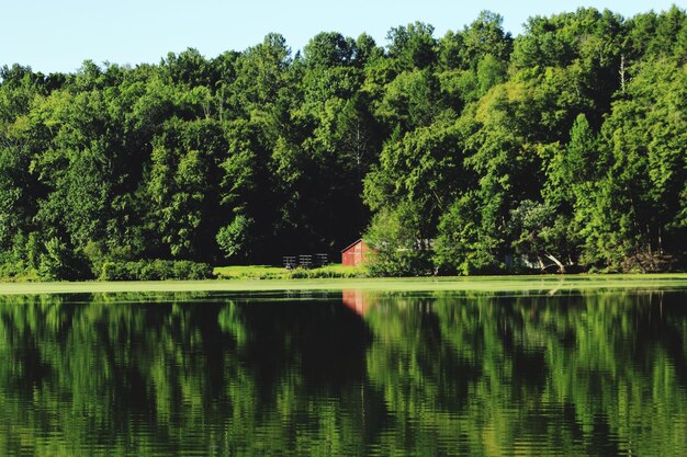 Scenic view of lake by trees against sky