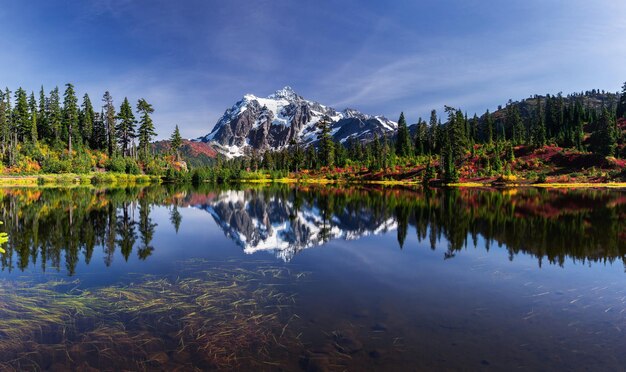 Photo scenic view of lake by trees against sky