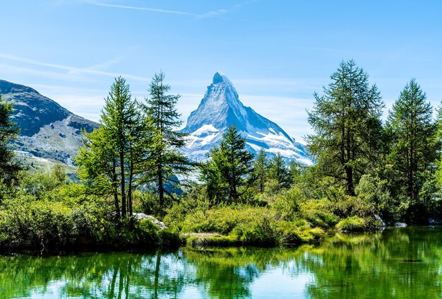 Foto vista panoramica del lago dagli alberi contro il cielo