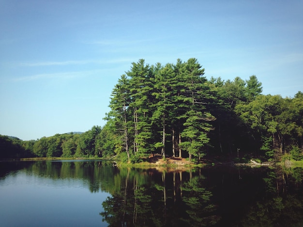 Foto vista panoramica del lago dagli alberi contro il cielo